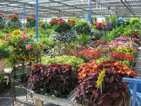 arts landscaping & garden center